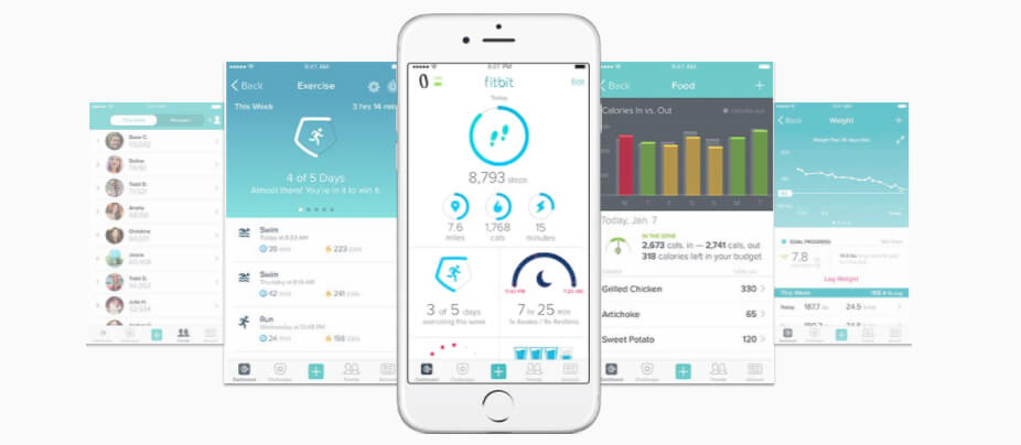 Interface FITBIT FLEX 2